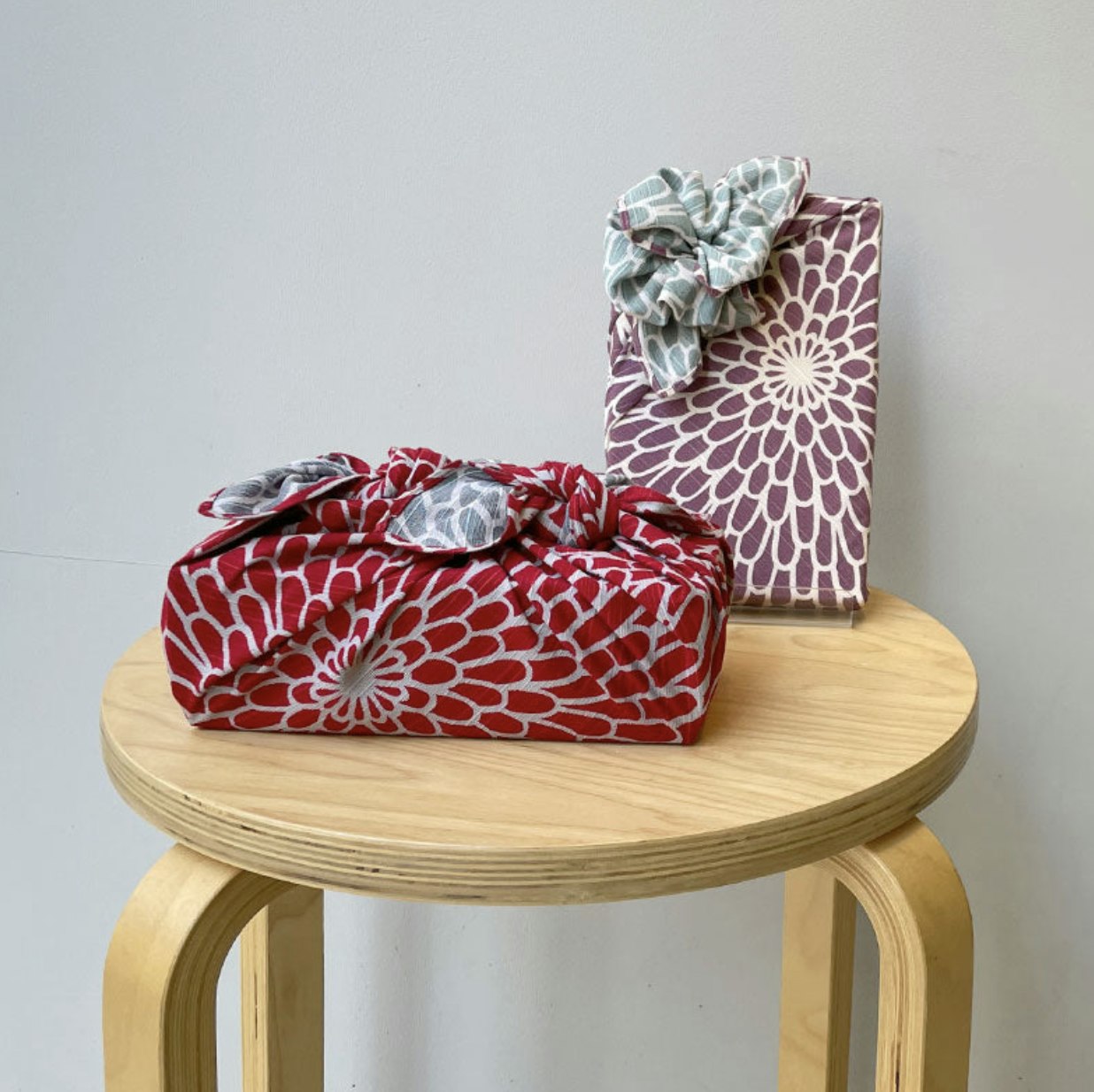 Isa-Monyo (Chrysanthemum) Red/blue 48cm