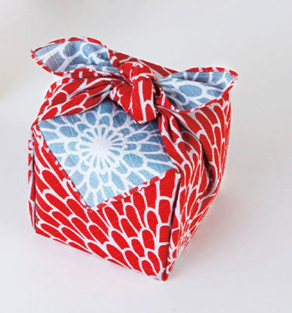 Isa-Monyo (Chrysanthemum) Red/blue 48cm