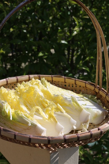 Making Japanese pickles and ferments