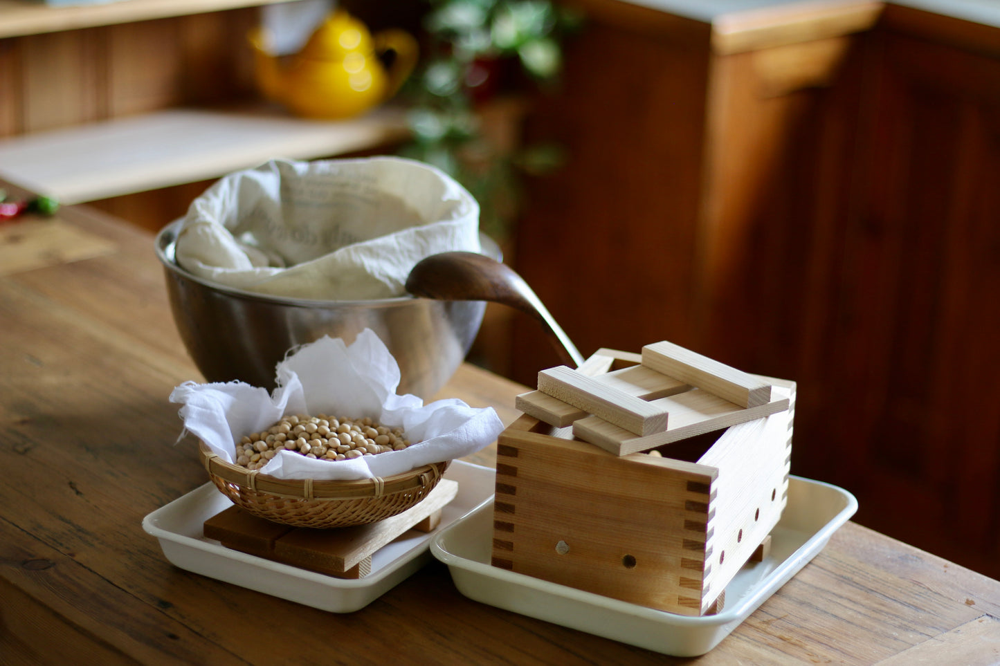 Organic Tofu making & cooking
