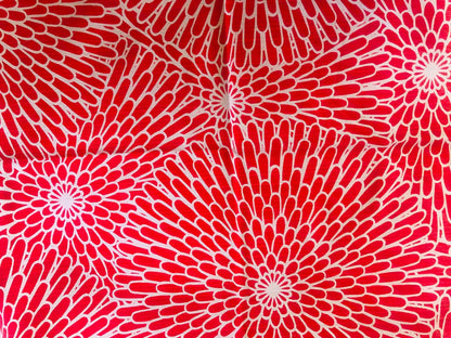 Isa-Monyo (Chrysanthemum) Red/blue 48cm