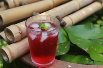 Cordial - Shiso & Elder flower ( Set of two. One bottle each)