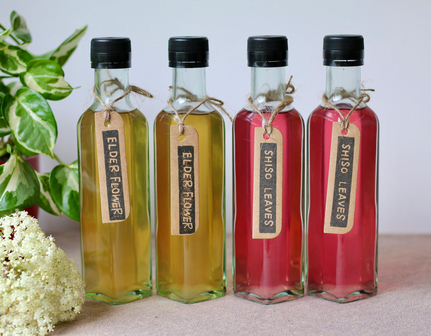 Cordial - Shiso & Elder flower ( Set of two. One bottle each)