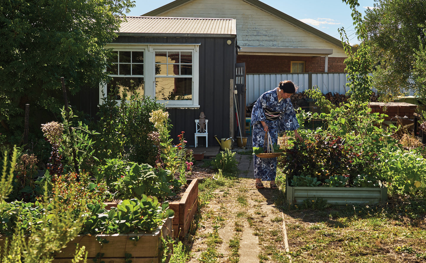 The Japanese art of PICKLING & FERMENTING (SIGNED COPY)