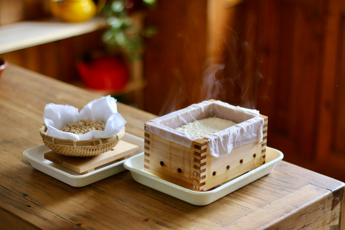 Artisanal Organic Tofu making kit