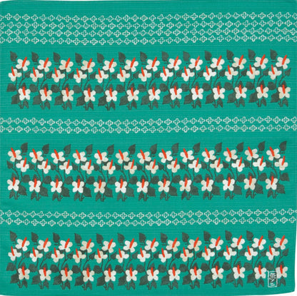 Fish mint Yumeji 48cm